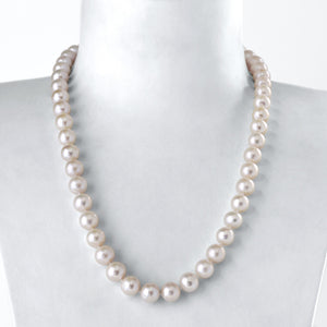 Collier 53cm Perles de Cutures d'Eau Douce   Argent 925 